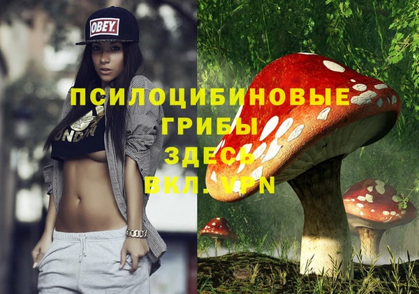 кокаин Алексеевка