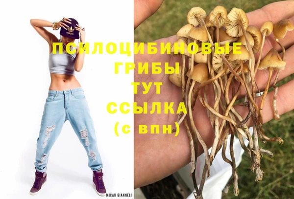 кокаин колумбия Алексин