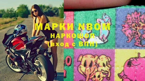 крисы Абаза