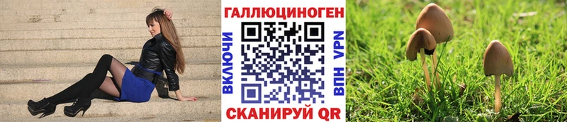 Галлюциногенные грибы мицелий  Удомля 