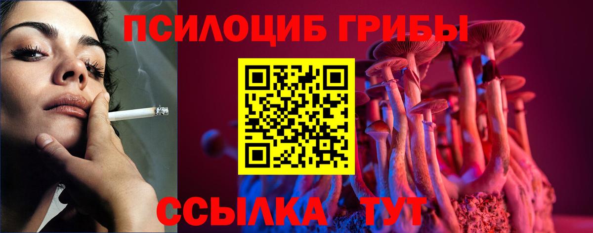Псилоцибиновые грибы Magic Shrooms  Галлюциногенные грибы прущие грибы  Удомля  хочу   Вход с VPN 
